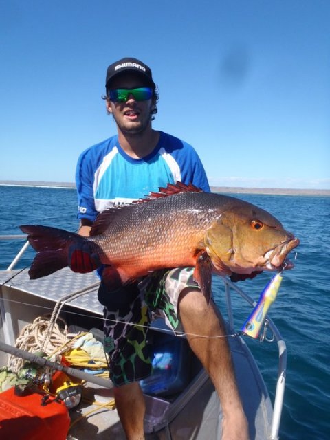 Exmouth Red Bass